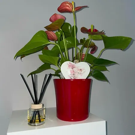 My Dalmatia - Manda Adriatic With Private Heated Pool *