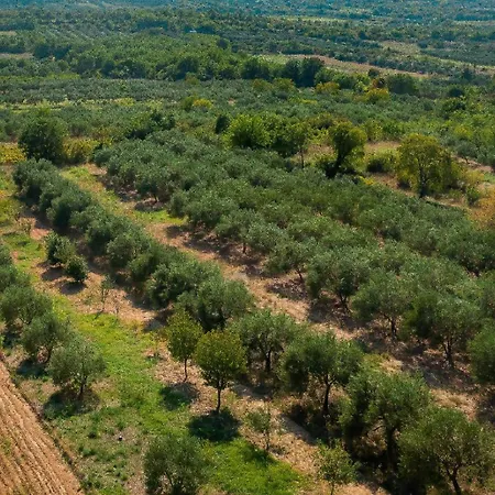 Holiday home My Dalmatia - Manda Adriatic With Private Heated Pool Skradin