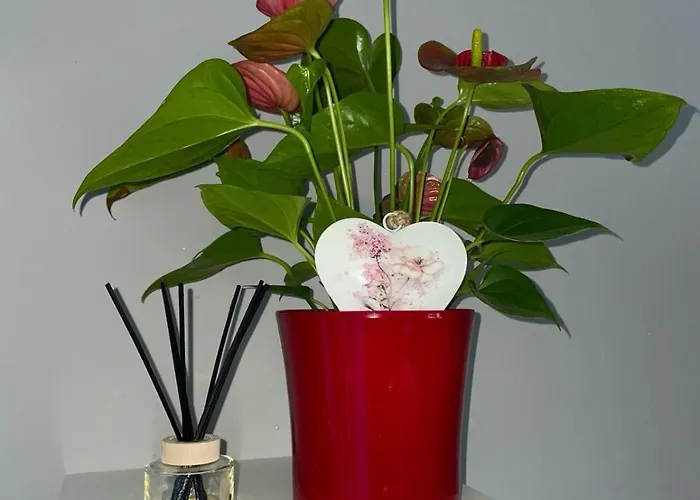 My Dalmatia - Manda Adriatic With Private Heated Pool *