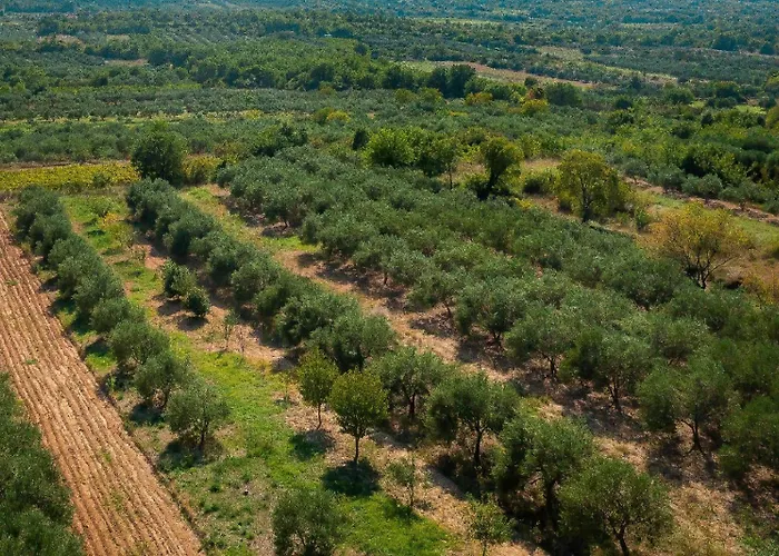 度假居 My Dalmatia - Manda Adriatic With Private Heated Pool 斯克拉丁